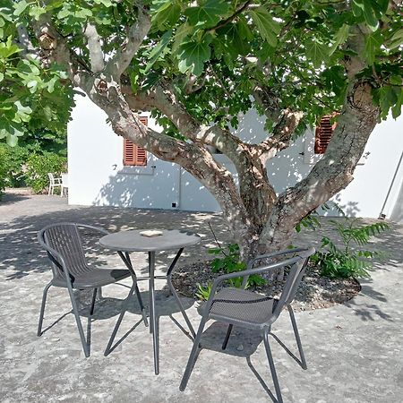 B&B Villa Rosanna Fasano Exterior foto